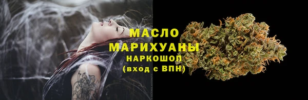 шишки Елизово
