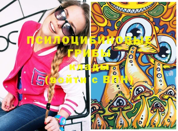 spice Михайловка