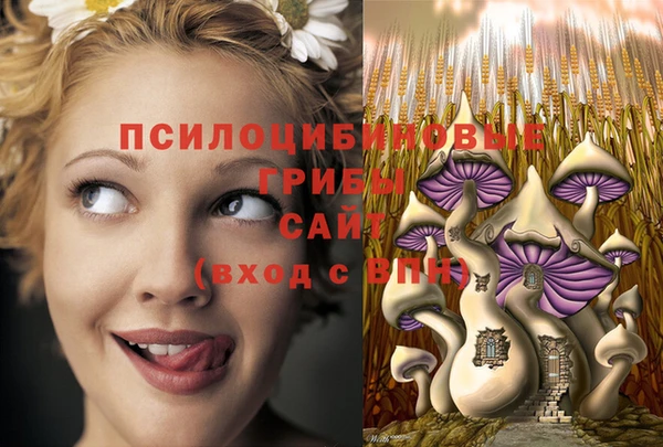СК Наволоки