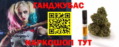 индика Гусиноозёрск