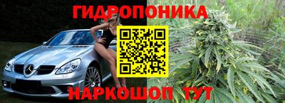 индика Гусиноозёрск