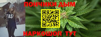 индика Гусиноозёрск