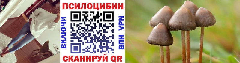 наркотики  Заречный  сайты даркнета наркотические препараты  Галлюциногенные грибы Magic Shrooms 