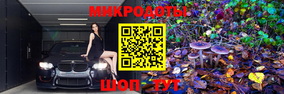 Галлюциногенные грибы Psilocybine cubensis  Вход с VPN  Галлюциногенные грибы мухоморы  Заречный 