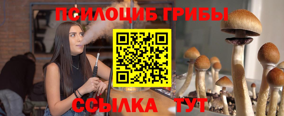 Галлюциногенные грибы GOLDEN TEACHER Заречный